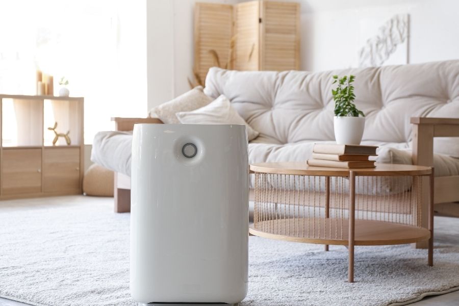 Air Purification in Mountains Edge NV