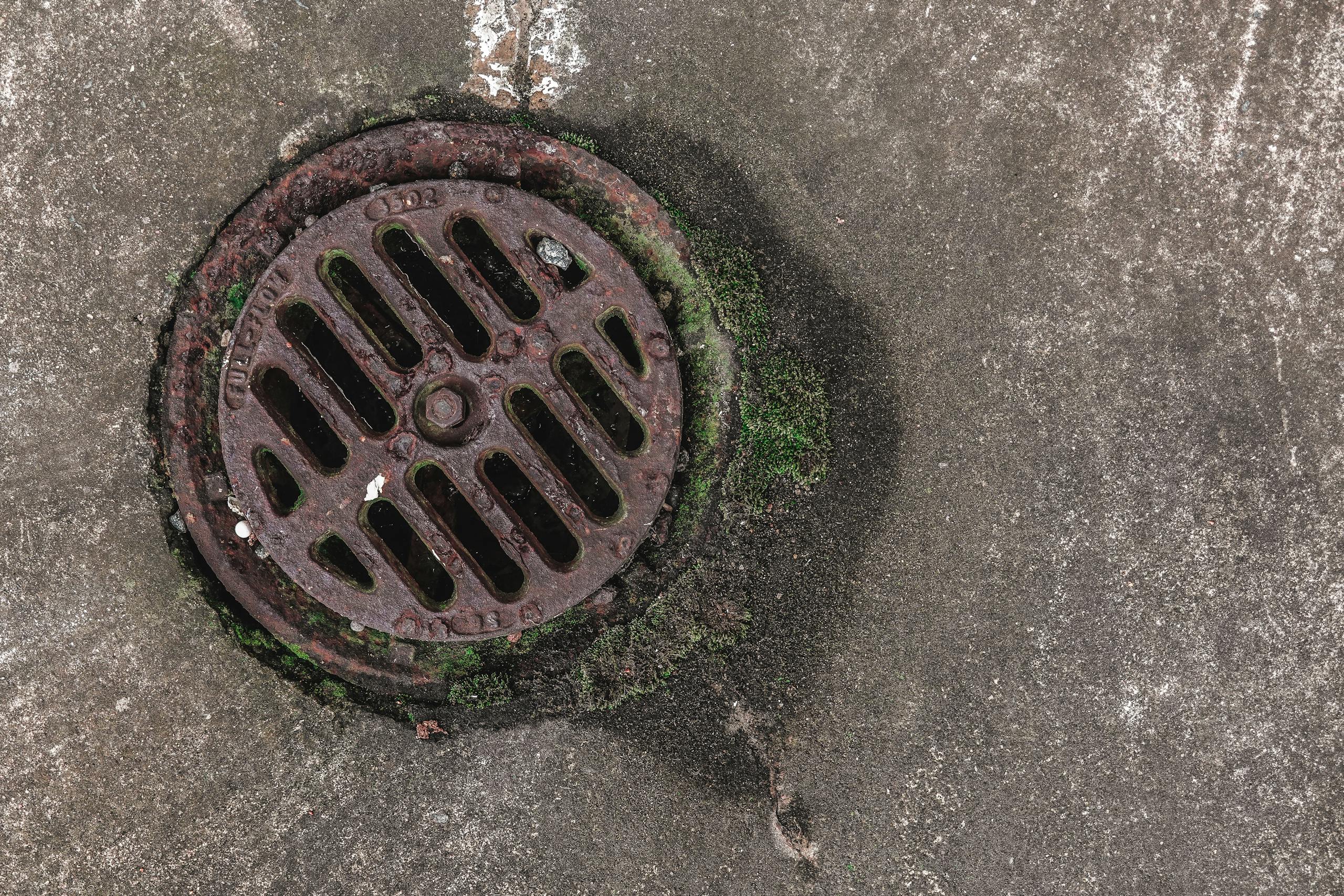 Close-up photo of a rusty drain grate with moss, offering a textured urban look.